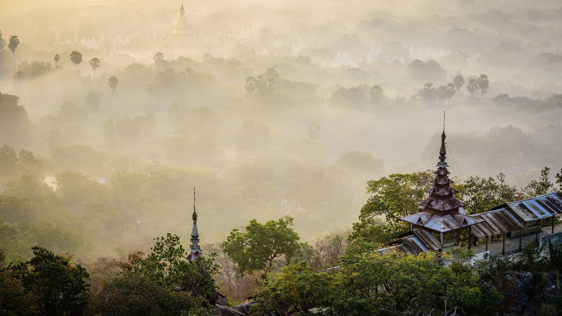 Discover Your Ideal International Tour Plan Today