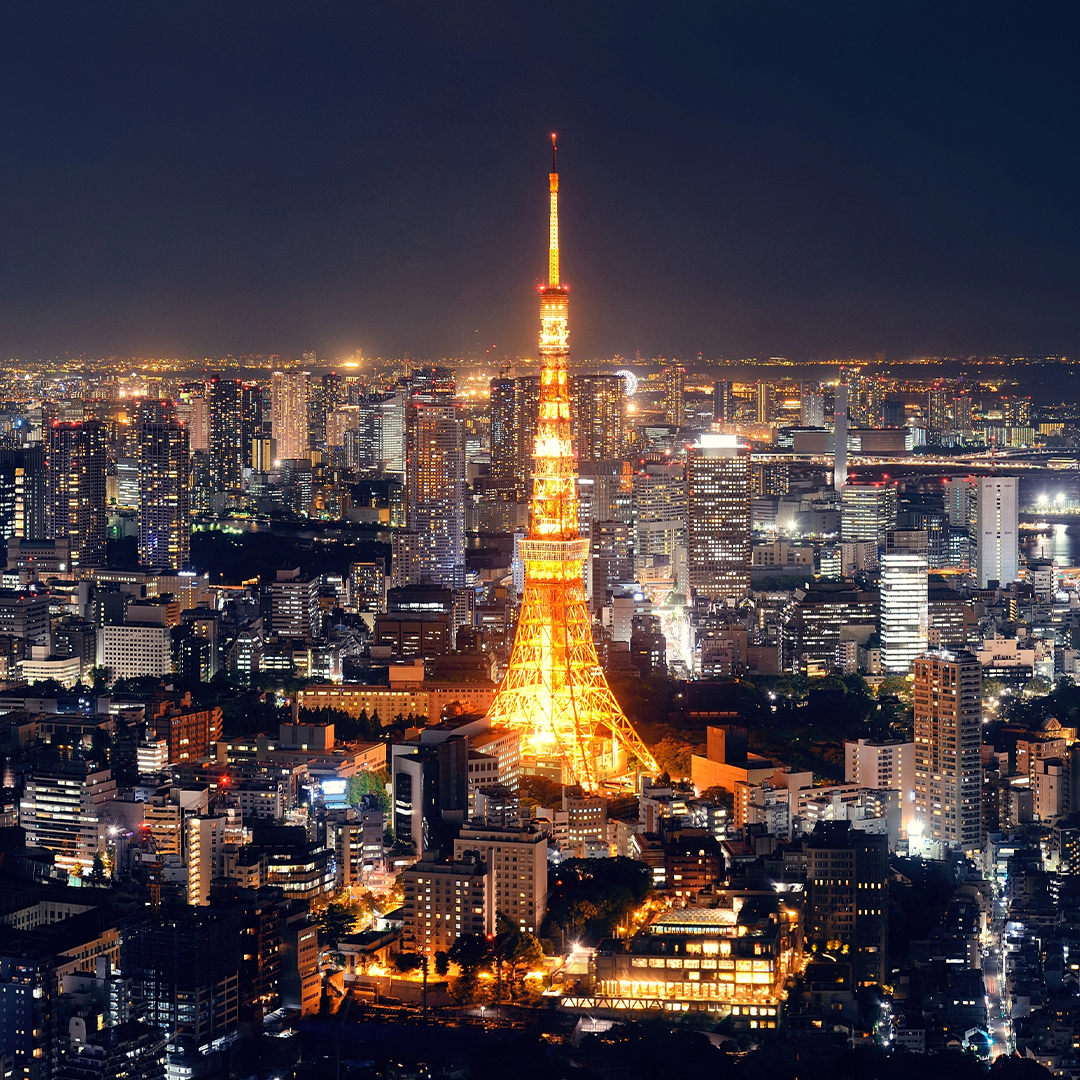 Tokyo Unfolded: City Lights to Sacred Grounds