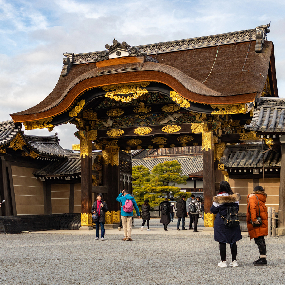 Kyoto Unveiled: Gates, Gardens, and Blossom Trails