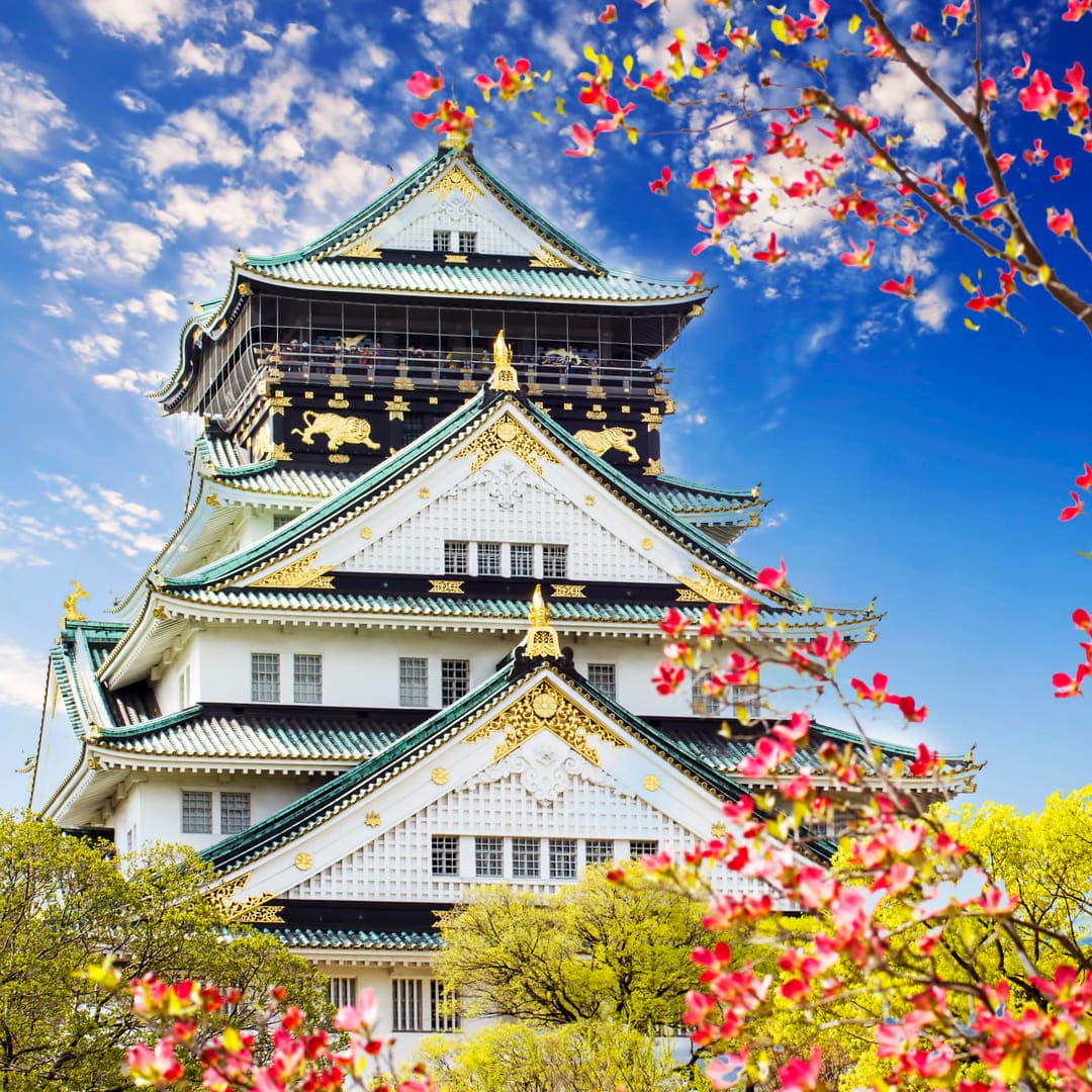 Osaka Ignited Castles, Street Food & Neon Nights